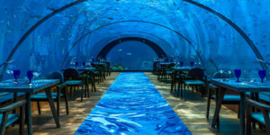 Maldives’ All-Glass Undersea Restaurant And Yoga Venue